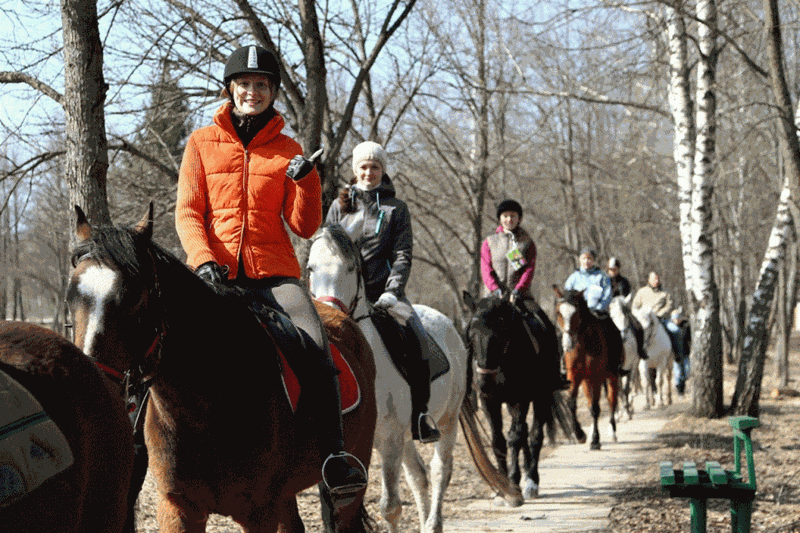 Конные прогулки