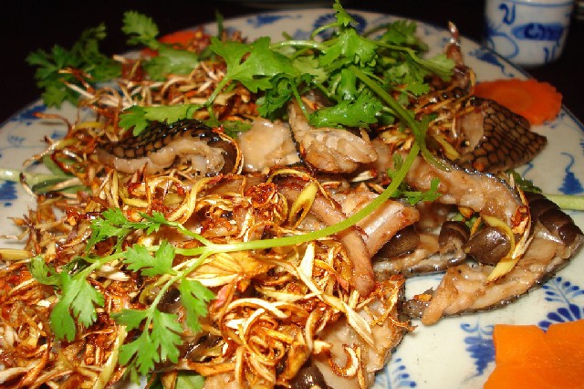 Салат из змеи