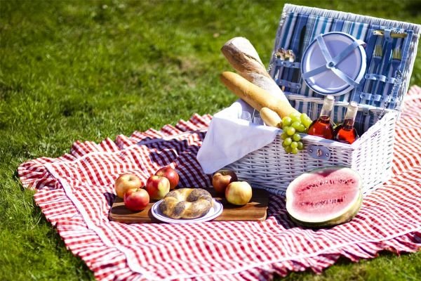 Организация пикника