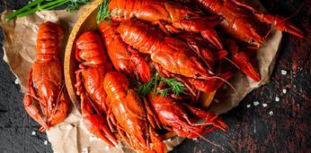 Станция раков на 40-50 персон